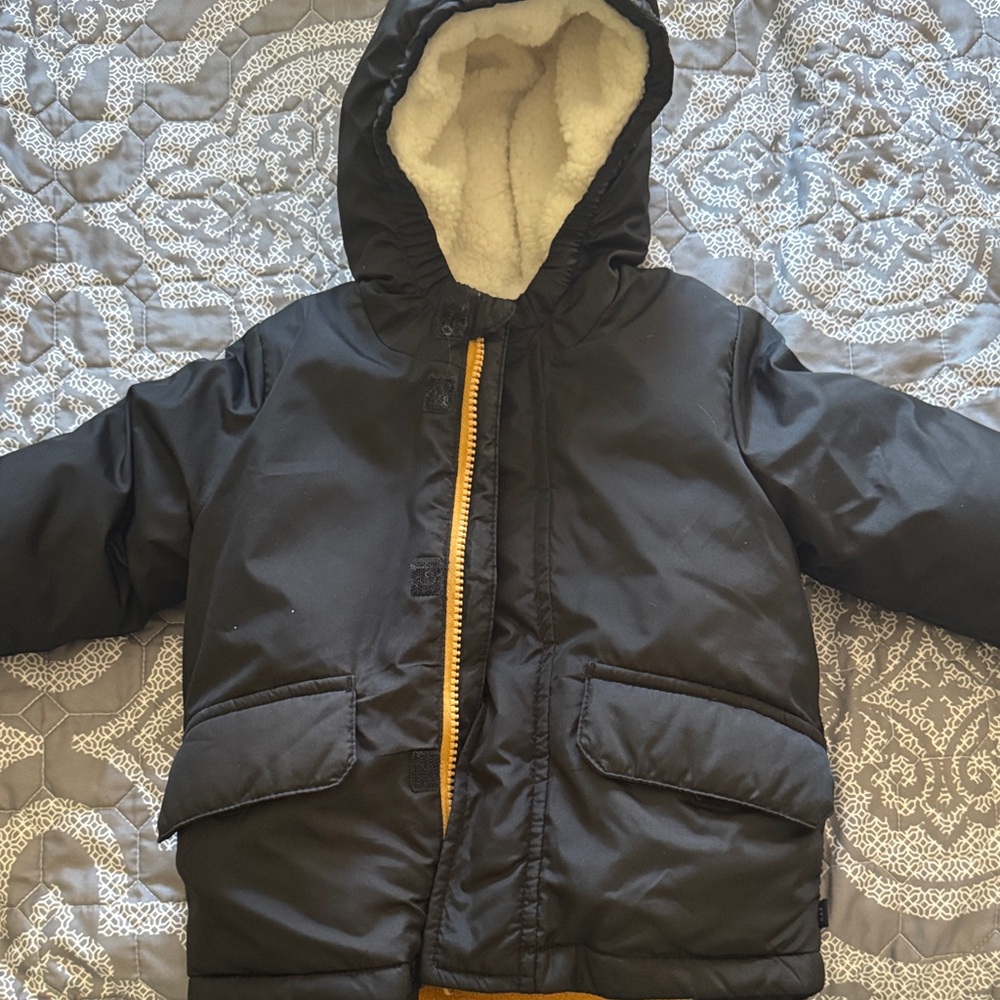 GAP Black Hooded Puffer Jacket for Kids